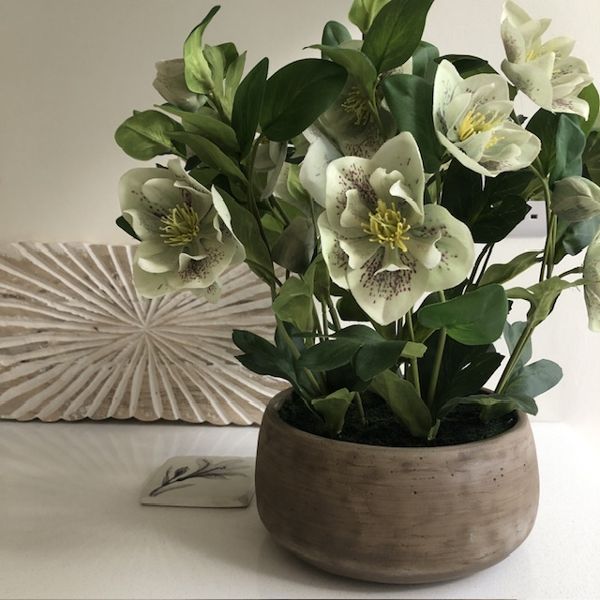 Beautiful Green Faux Hellebore