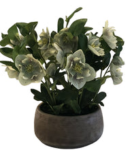 Load image into Gallery viewer, Beautiful Green Faux Hellebore
