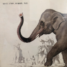 Load image into Gallery viewer, Elephant  Art
