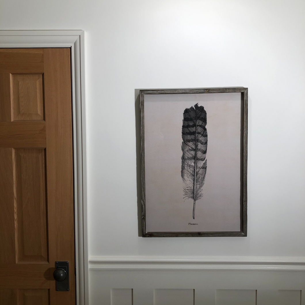 Feather Wall Art