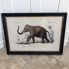 Load image into Gallery viewer, Elephant  Art
