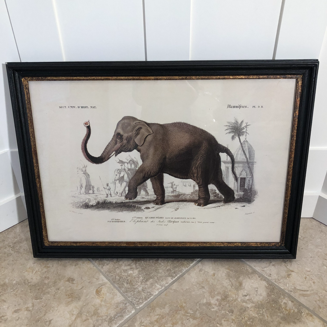 Elephant  Art