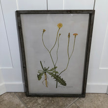 Load image into Gallery viewer, Botanical Artwork 3
