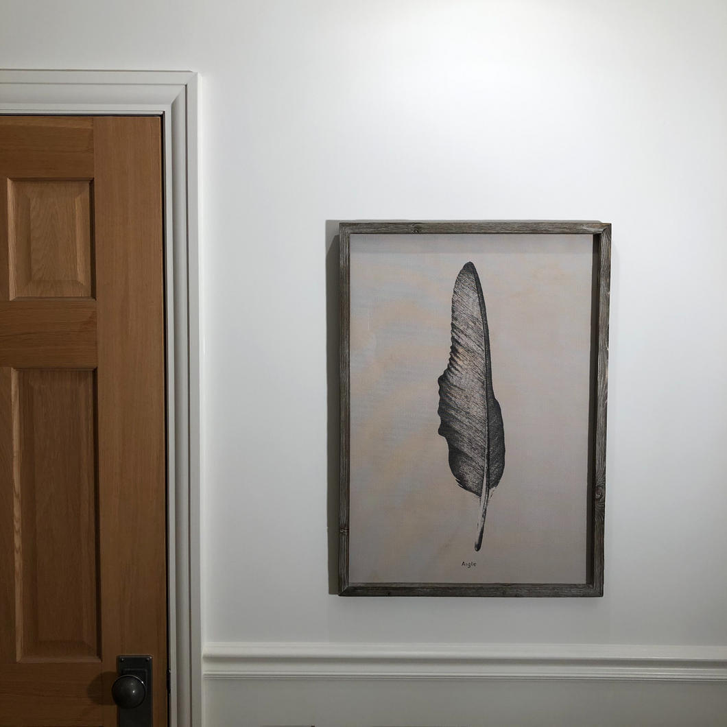 Feather Wall Art