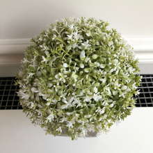 Load image into Gallery viewer, White Dianthus Potted plant
