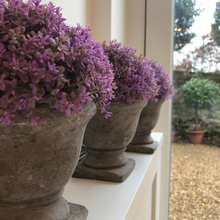 Load image into Gallery viewer, Purple Dianthus Potted
