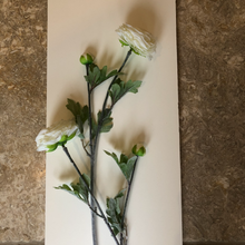 Load image into Gallery viewer, Pretty Cream Ranunculus Spray
